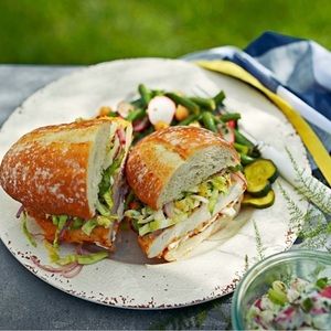 NWOT Williams Sonoma Rustic Outdoor Melamine Collection. Ivory Dinner Plates